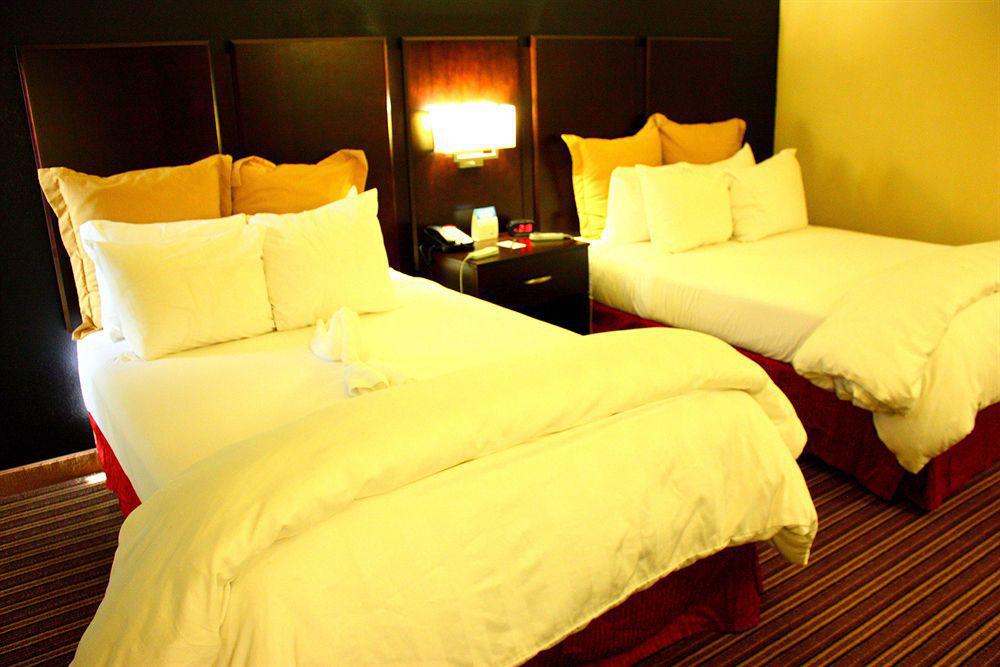Wyndham Garden Norfolk Downtown Hotel Eksteriør billede