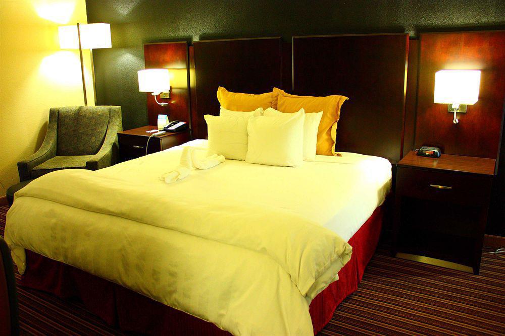 Wyndham Garden Norfolk Downtown Hotel Eksteriør billede