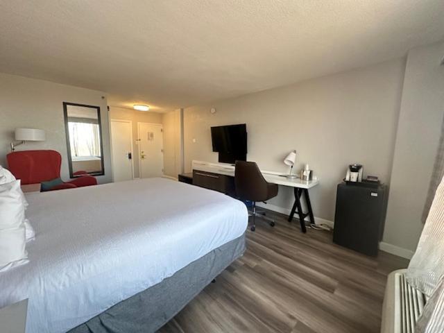 Wyndham Garden Norfolk Downtown Hotel Eksteriør billede