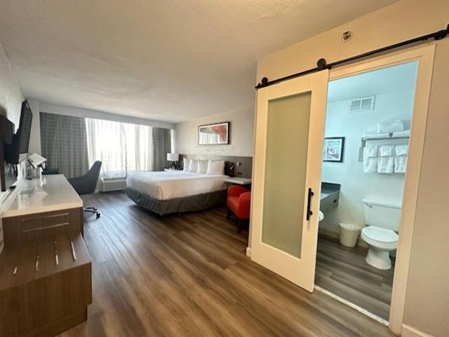 Wyndham Garden Norfolk Downtown Hotel Eksteriør billede
