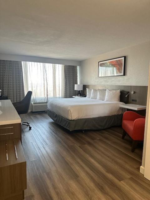 Wyndham Garden Norfolk Downtown Hotel Eksteriør billede
